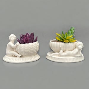 May include: Two white ceramic planter pots with cherub figures. One pot features a purple succulent and the other has a yellow succulent.