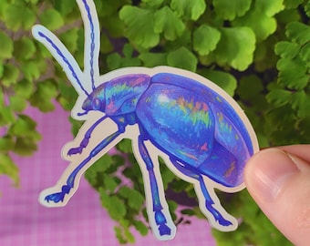 May include: A blue iridescent beetle sticker with a detailed illustration. The sticker is on a pink and white checkered background.