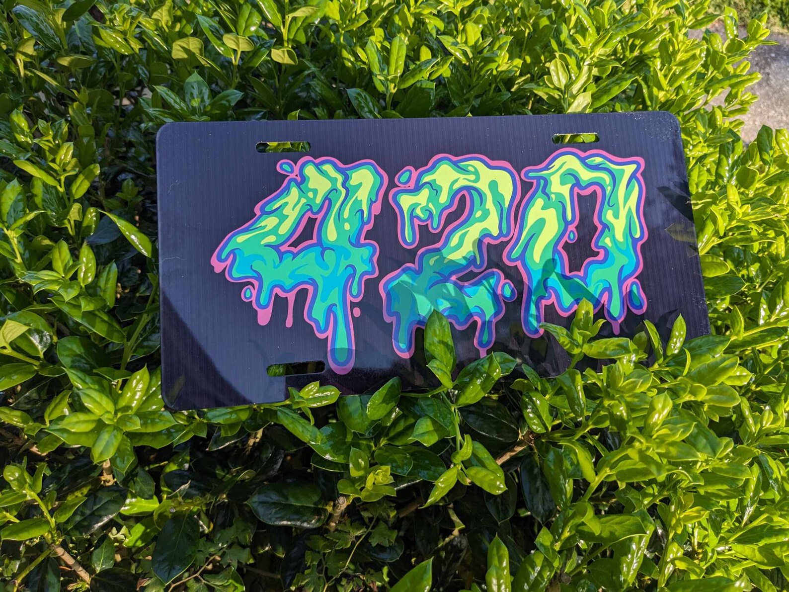 420 Car Tag - Etsy