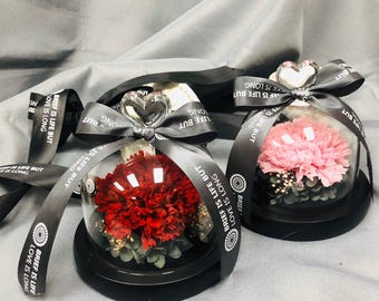 Eternal carnation/ preserved carnation/preserved flowers/eternal flower/gifts/gift for mom/mother's day gifts/gift for her/mom/carnation