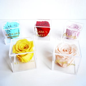 An Eternal rose in acrylic box/preserved rose box/long lasting roses/thank you gift/self gift/graduation gift/office decor/customizable gift