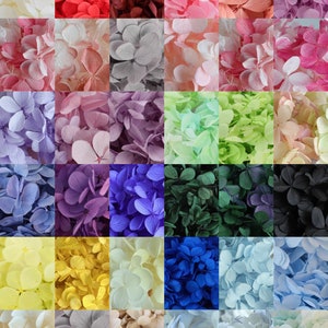 36 Colors| AAA Preserved Hydrangea| Hydrangea| Resin Decor| DIY Wedding| Flower Arrangement| Pink Hydrangea| White Hydrangea| DIY Crafts