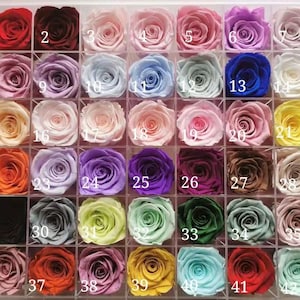 4-5 cm Preserved Roses Wholesale/Eternal Roses/Preserved Rose Box/Preserved Flowers/Rose Head/Wedding Rose/DIY Floral Arrangement/Home Decor