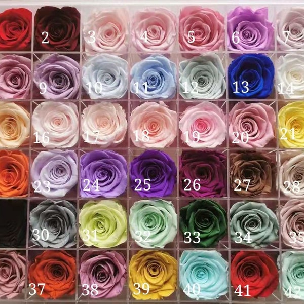 Vente en gros de roses stabilisées de 2-3 cm/Roses éternelles/Boîte de roses stabilisées/Fleurs stabilisées/Mini rose/Rose de mariage/Composition florale DIY/Décoration d'intérieur