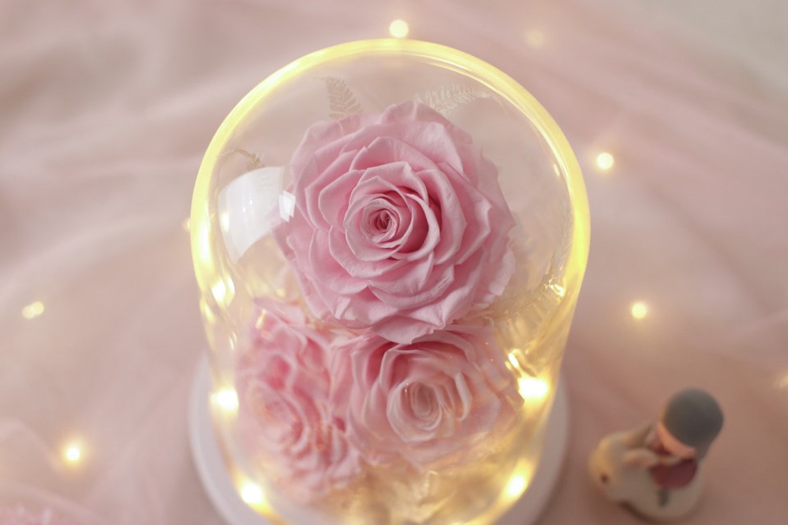Eternal roses/ preserved roses/preserverd flowers/eternal Etsy