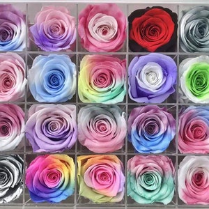 Rosas eternas/rosas preservadas/caja de rosas preservadas/belleza de rosas eternas/flores preservadas/flor eterna/regalos/regalo de novia/caja de regalo/personalizado