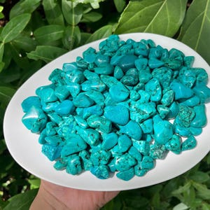 May include: A white oval plate overflowing with polished turquoise stones. The stones vary in size and shape, displaying a vibrant turquoise color with darker green veining. The plate is held against a backdrop of green foliage.