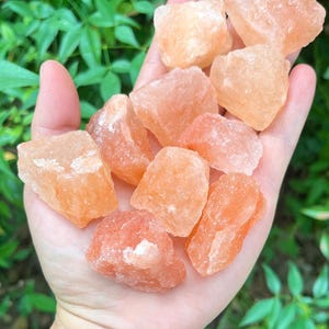 Puede incluir: Un puñado de trozos de sal rosa del Himalaya, de color naranja-rosado. Los cristales varían en tamaño y forma, con un aspecto natural y sin refinar. El fondo presenta follaje verde.