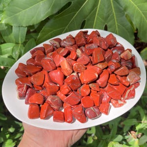 Red Jasper Tumbled Gemstone Chips-Red Jasper Stone-Polished Red Jasper Gemstone-Choose Ounces or lbs Loose Wholesale Bulk Lots