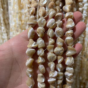 May include: Strands of beige and white shell beads. The beads are irregular in shape and have a polished, glossy finish. The beads are strung together, creating a necklace or bracelet. The background shows more strands of similar beads.