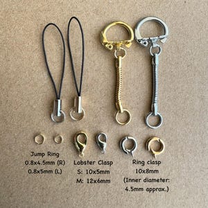 Pu&ograve; includere: Assortimento di portachiavi e anelli di salto dorati e argentati. I portachiavi includono un moschettone a forma di aragosta, un moschettone ad anello e una catena con un anello all'estremit&agrave;. Gli anelli di salto misurano 0,8 x 4,5 mm e 0,8 x 5 mm. I moschettoni a forma di aragosta misurano 10 x 5 mm e 12 x 6 mm. Il moschettone ad anello misura 10 x 8 mm con un diametro interno di 4,5 mm.