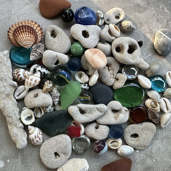 Natürliche Beachcombing Funds: Muscheln, Seeglas, Hag Steine, Treibholz und mehr - Ideal für Mosaike, Feng Shui, DIY Eco Crafts