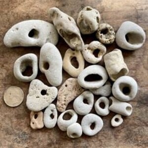 Natural Beachcombing Finds: Shells, Sea Glass, Hag Stones, Driftwood and more Ideal for Mosaics, Feng Shui, DIY Eco Crafts image 7