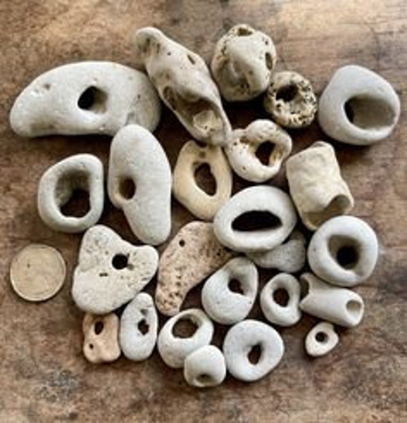 Natural Beachcombing Finds: Shells, Sea Glass, Hag Stones, Driftwood and more Ideal for Mosaics, Feng Shui, DIY Eco Crafts image 7