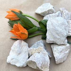 10 Sacred Stones from the Holy Land for Meditation, Healing and Positive Vibes