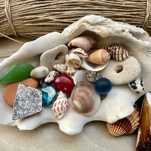 Natural Beachcombing Finds: Shells, Sea Glass, Hag Stones, Driftwood and more Ideal for Mosaics, Feng Shui, DIY Eco Crafts image 2