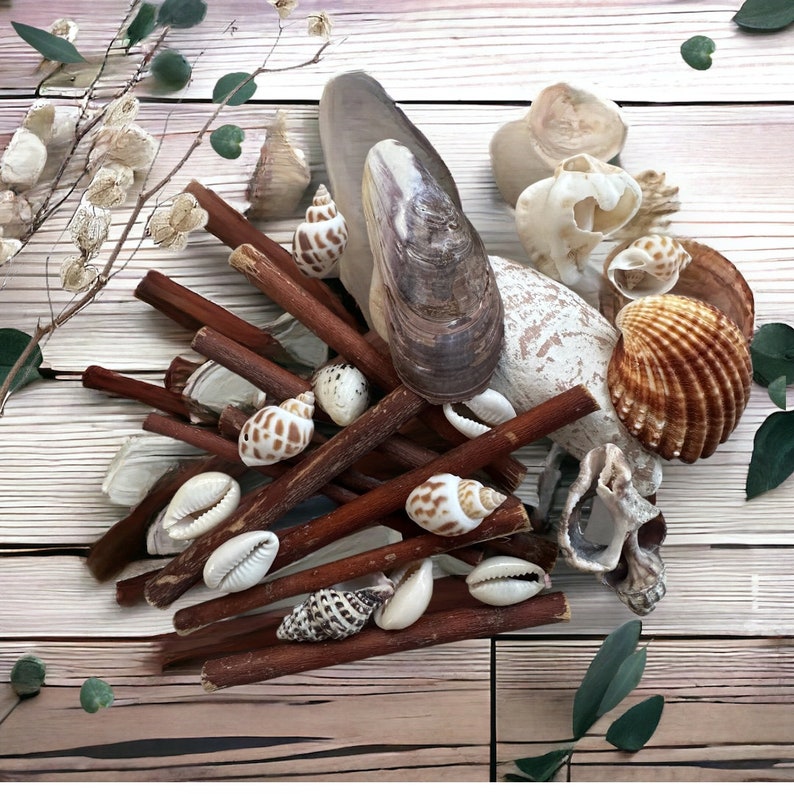 Natural Beachcombing Finds: Shells, Sea Glass, Hag Stones, Driftwood and more Ideal for Mosaics, Feng Shui, DIY Eco Crafts image 4