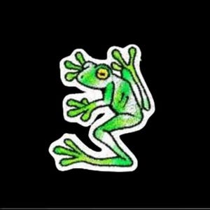 Embroidered Frog Patch – 2" x 2.5" Iron-On Applique for Clothing & Accessories