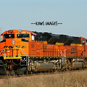 May include: An orange and black freight train with the letters "BNSF" on the side. The train is on a set of tracks with brown grass in the foreground.