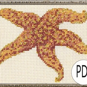 May include: Cross-stitch pattern of a starfish in shades of orange, yellow, and brown, set against a cream-colored background. The design is framed in a silver-colored border. A white circle with the letters "PDF" is in the lower right corner.