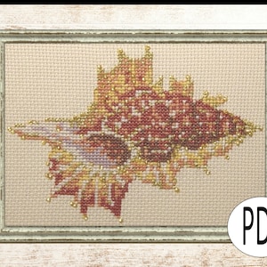 Peut inclure: Un motif de point de croix représentant un coquillage détaillé avec un schéma de couleurs rose, rouge et or. Le motif est encadré dans un cadre en bois clair.