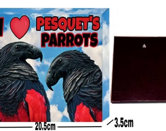 Pesquet S Parrot Etsy