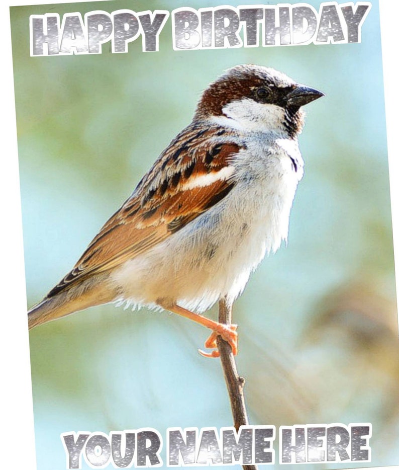 Sparrow Garden Bird Birthday Personalised Pick Your Occasion Greeting Card Silver Glitter HMBI05