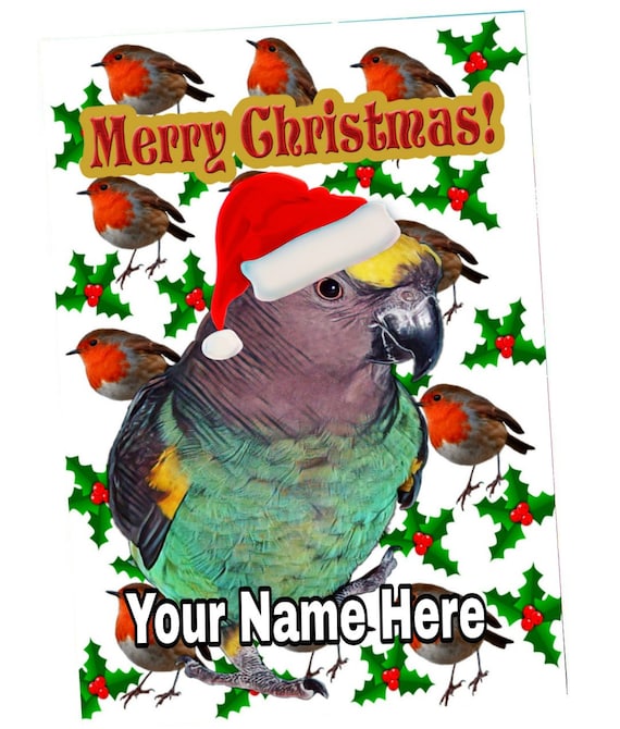 Novelty Congo African Grey Parrot Personalised Name Canvas Birthday Card Novelty Congo African Grey Parrot Personalised Name Canvas Birthday Card