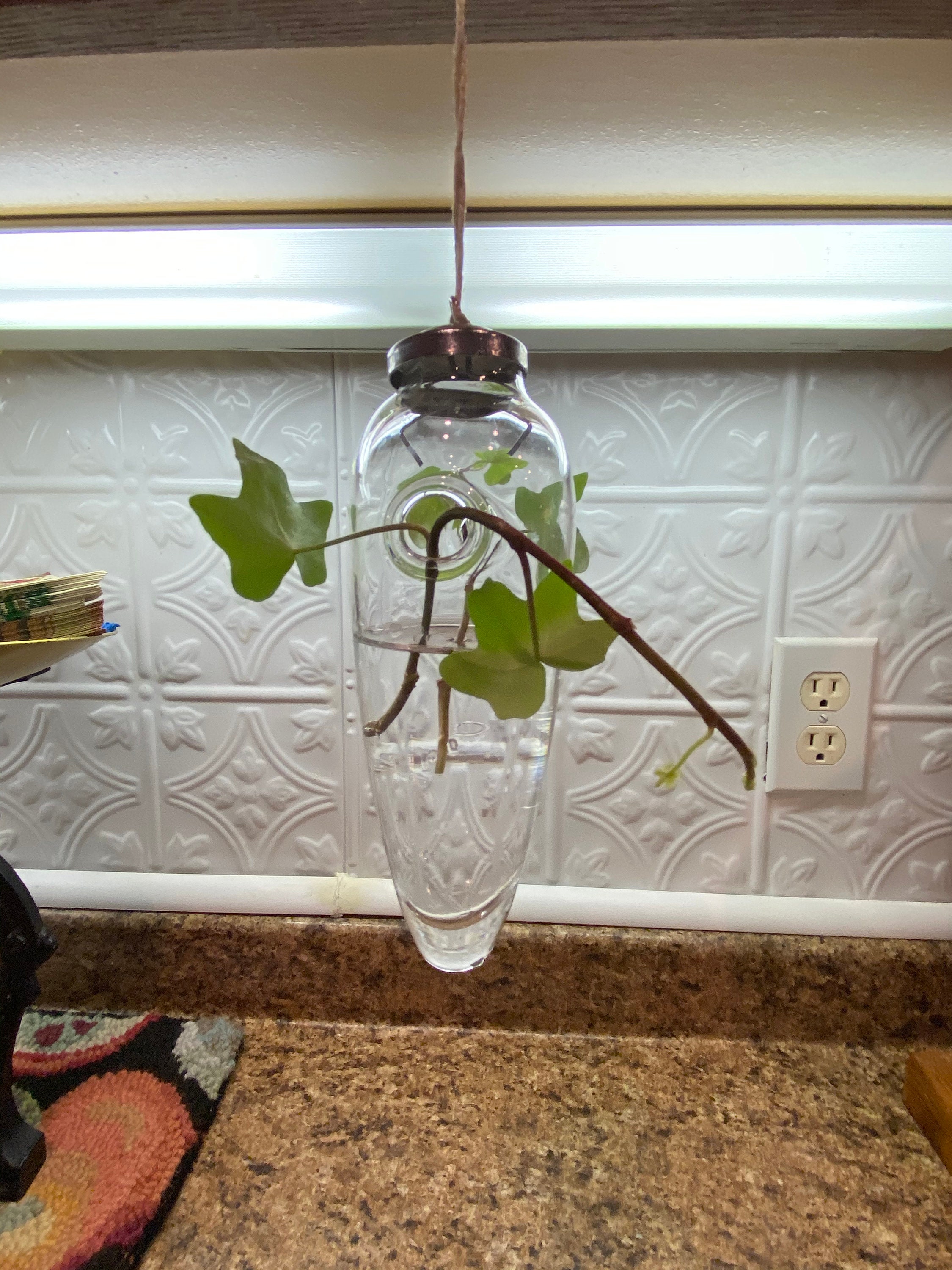 Glass Hanging Ornaments for Plants Etsy