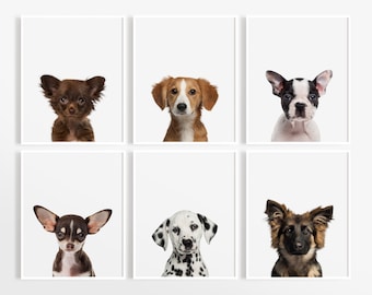 Puppy Dog Prints, Nursery Puppy Print, Animal Nursery Art, Baby Animal Nursery, Dog Photography, Dog Wall Art, Puppy Nursery Decor