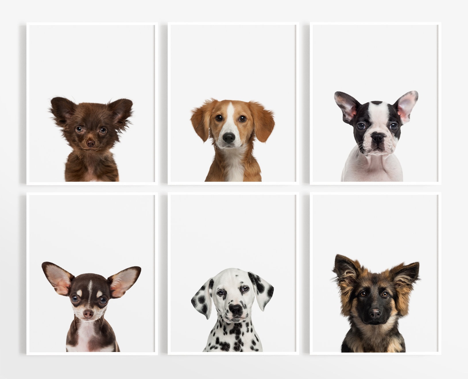 Puppy Dog Prints Nursery Puppy Print Animal Nursery Art Etsy