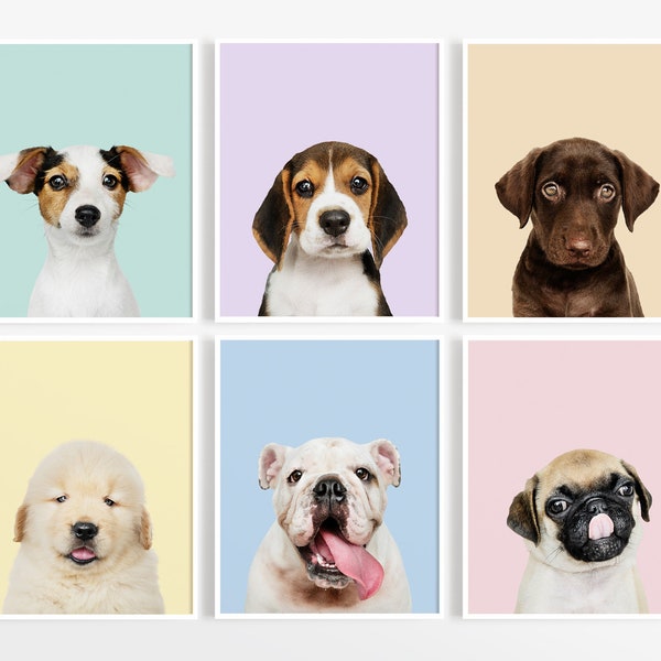 Puppy Dog Prints, Nursery Puppy Print, Animal Nursery Art, Baby Animal Nursery, Dog Photography, Dog Wall Art, Puppy Nursery Decor