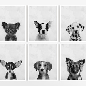 Puppy Dog Prints, Nursery Puppy Print, Animal Nursery Art, Baby Animal Nursery, Black and White Dog Photo, Dog Wall Art