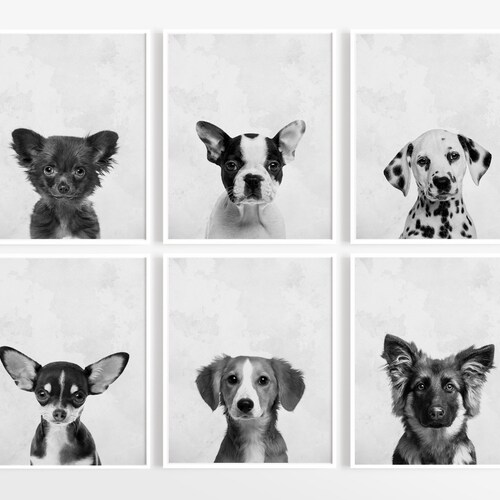 Puppy Dog Prints Nursery Puppy Print Animal Nursery Art Etsy