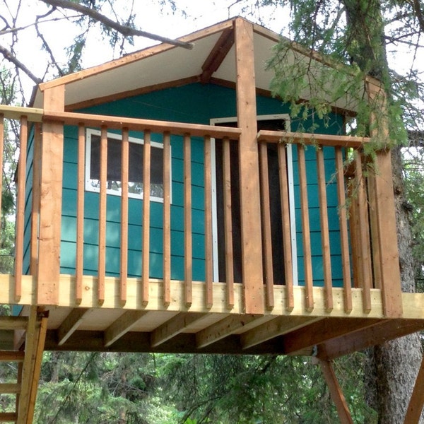 Cabane dans les arbres Zelkova - plans à construire dans deux arbres ou sur pied