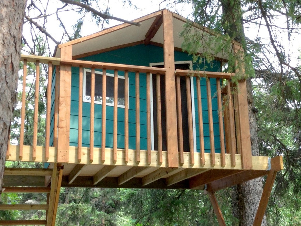 Zelkova Treehouse Plans to Build in Two Trees or Free Standing