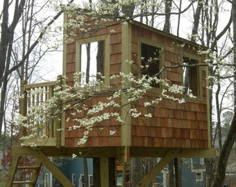 Kauri treehouse - plans to build in one tree or free standing