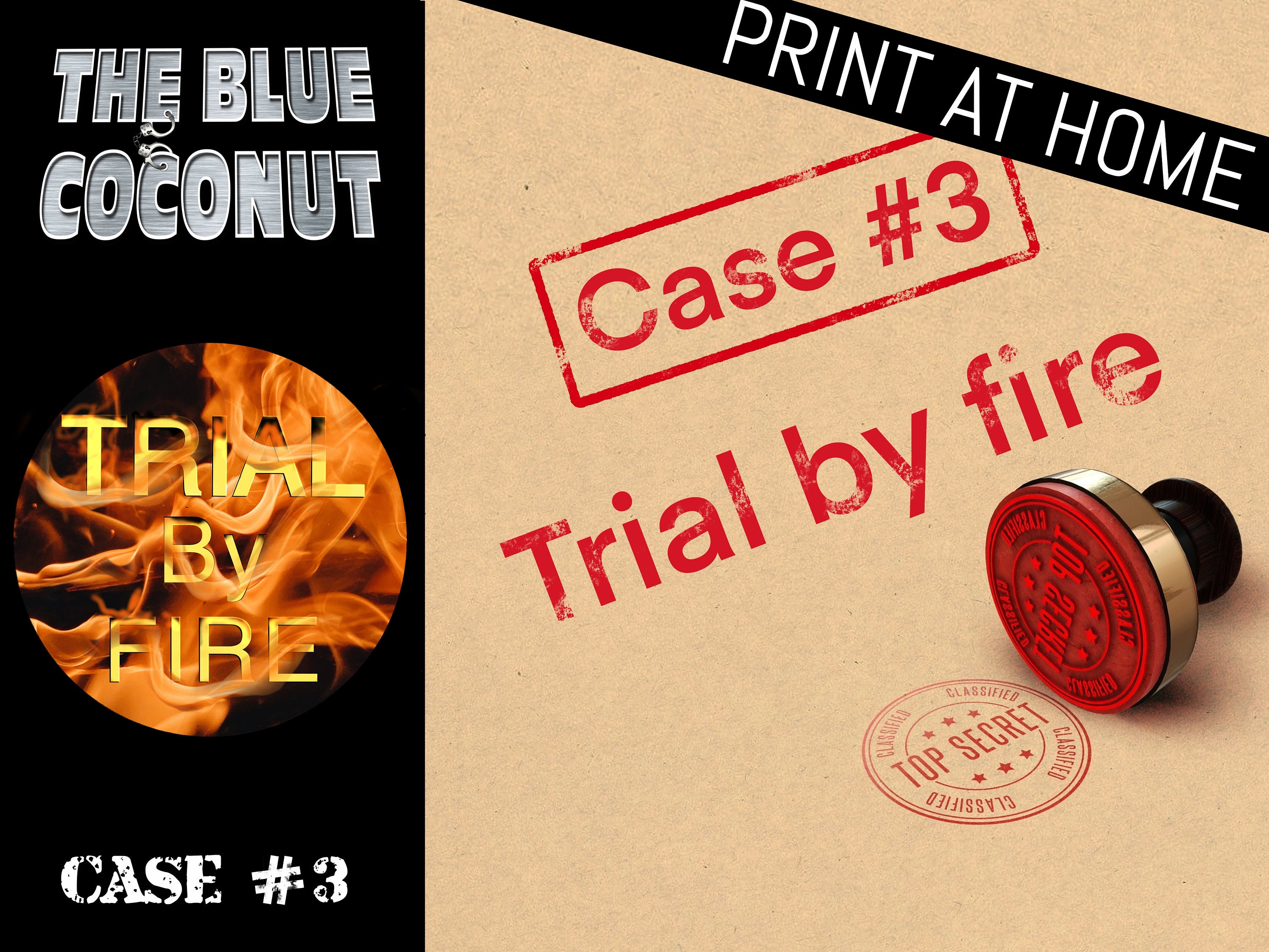 Tabletop Detective Case File Crime Cold Case Murder Print Etsy