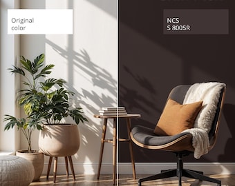 Può includere: Immagine divisa che mostra elementi di interior design. Il lato sinistro presenta uno spazio luminoso con piante in vasi beige, un tavolino in legno e un pouf intrecciato. Il lato destro mostra una parete marrone scuro, una sedia moderna e un cuscino.