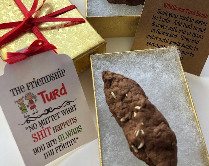 Turd Present In Grass Boxed Joke Poo Gift main image 1