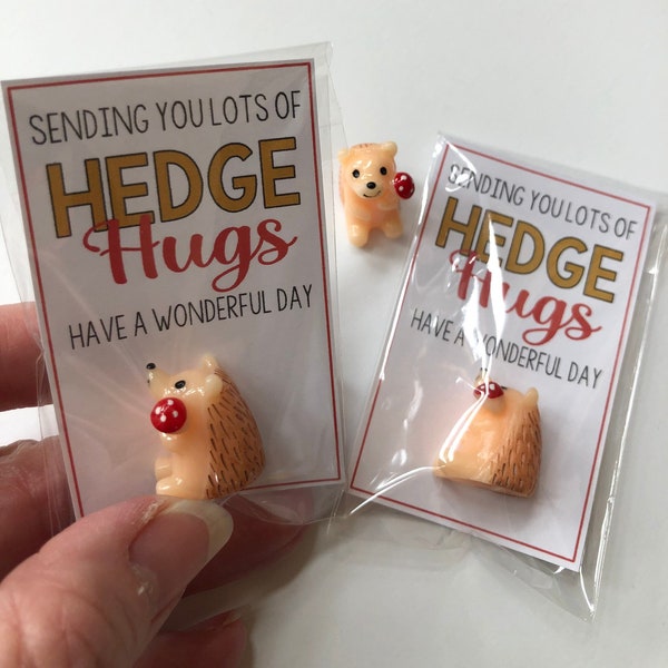 Sending you lots of HEDGE HUGS - Tiny Hedgehog good luck charm, lucky charm - sweet thoughts gift, mom, friends, Teacher, gift, best friend