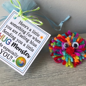 HUG MONSTER- Sweet Thoughts gift bag, Kids, children, anxiety, calming, goody bags, stocking stuffers, secret santa, lucky charm, fit friend