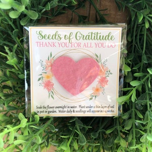SEEDS of GRATITUDE- Bloomin' Plantable Seed paper gift bags, Mothers Day, teacher appreciation, recycled wildflower seed bombs