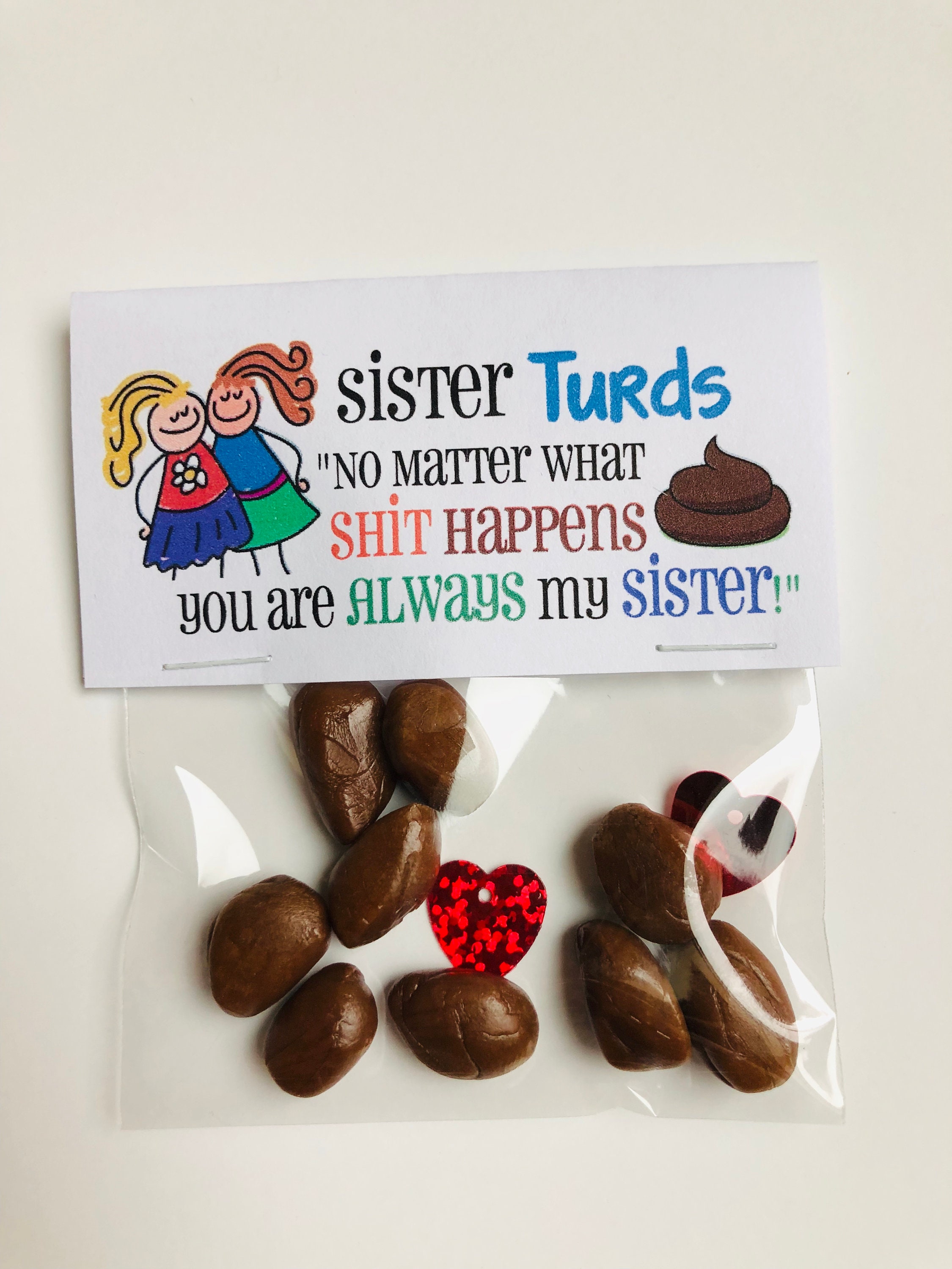Gag Gift Bags SISTER TURDS joke hilarious birthday white Etsy
