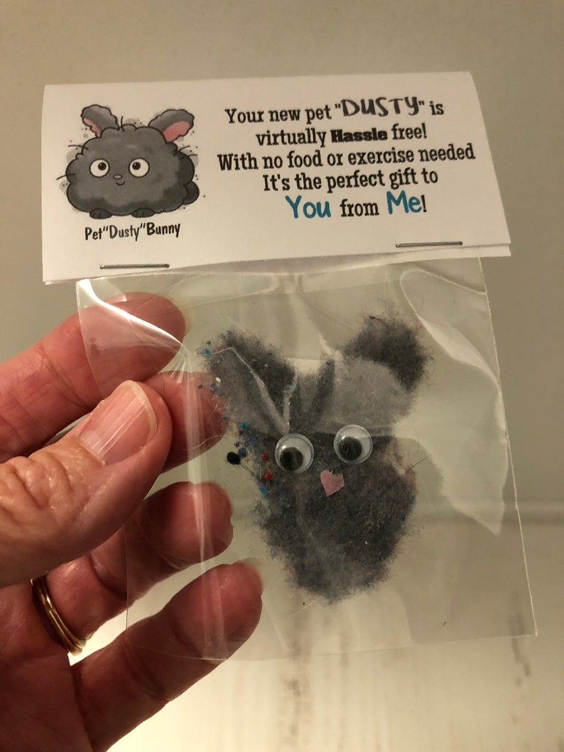 Gag Gift Bags PET Dust BUNNY DUSTY hilarious birthday Etsy