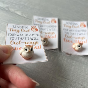 May include: A small, cream-colored owl figurine with orange accents is displayed on a card. The card has the text "SENDING Tiny Owl YOUR WAY TO REMIND YOU THAT I WILL Owl-ways Love You!" Other cards and owl figurines are in the background.