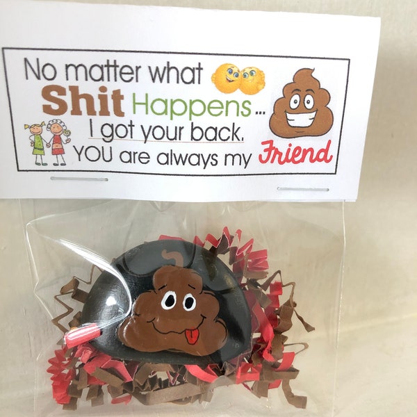 No Matter what Shit Happens -friend-Gag Gift goody bag, painted rocks, hand painted stones, rock art, funny, silly, birthday prank sister