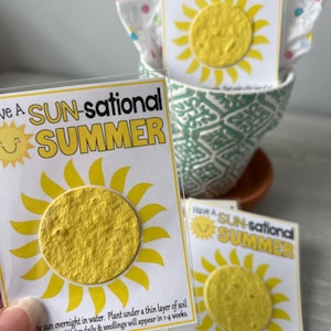 Have a SUN-sational Summer or Sending SUNSHINE -teacher gifts or classoom kid exchanges-Bloomin&#39; Plantable Seed paper gift bag, appreciation