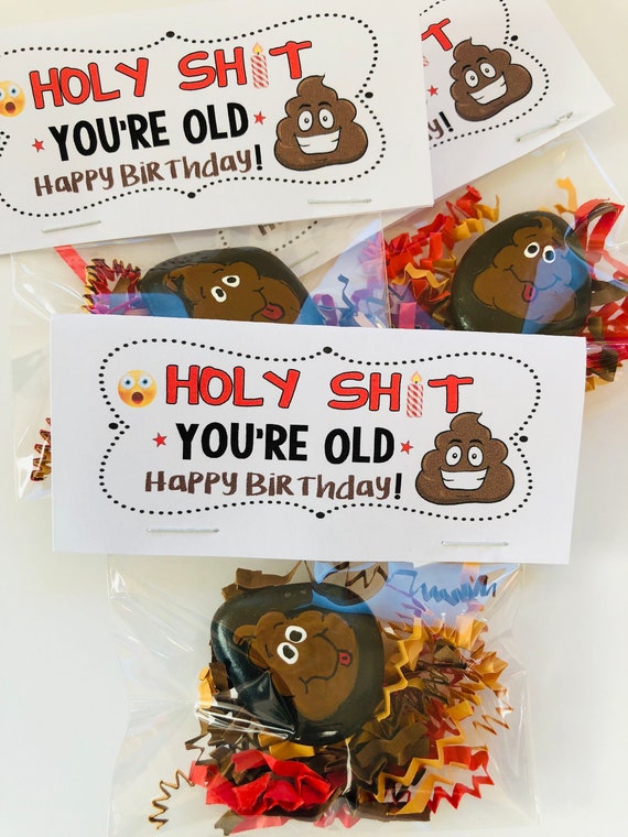 hand painted stones Gag Gift goody bag You/'re Old! rock art HOLY CRAP painted rocks silly Poop emoji,Happy birthday prank gift funny