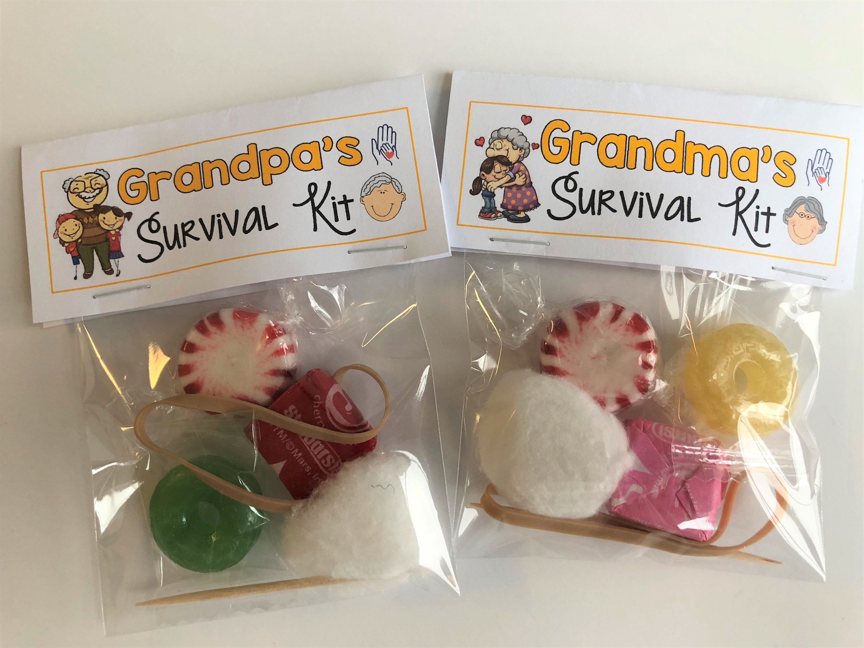 GRANDPARENT'S SURVIVAL KIT funny Gag Gift Bags silly Etsy